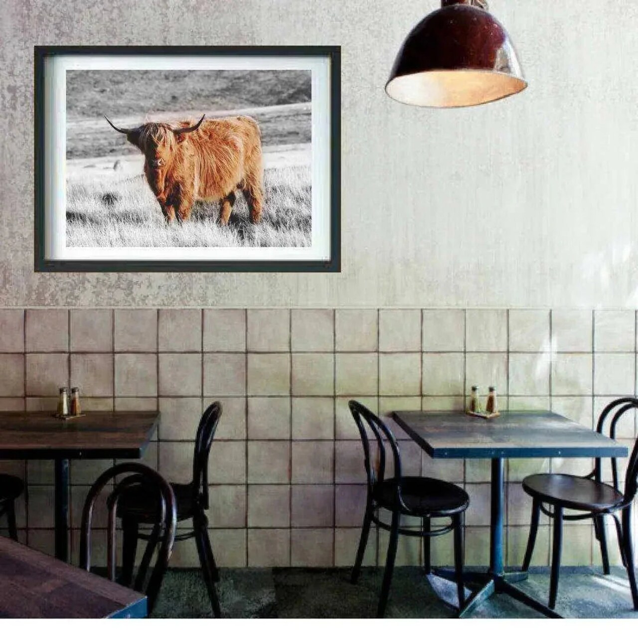 Highland Cow Art Print - Rustic Buffalo Animal Decor for Home or Office